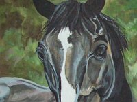 Brumbeau 12x16
